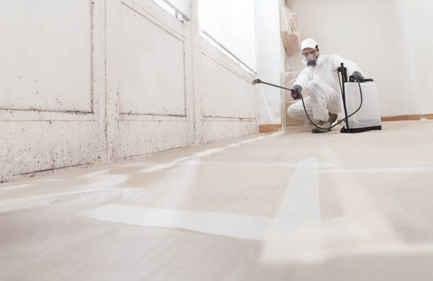 24/7 Emergency Crawl Space Mold Removal experts in Mount Laurel, NJ