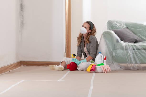 Reliable Crawl Space Mold Removal contractor in Mount Laurel, NJ by WQB Mold Removal